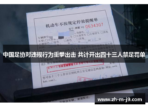 中国足协对违规行为重拳出击 共计开出四十三人禁足罚单