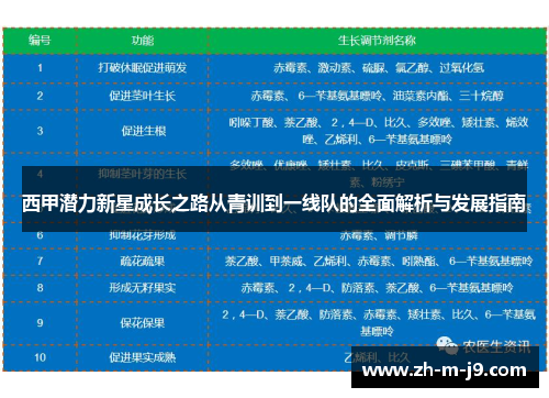 西甲潜力新星成长之路从青训到一线队的全面解析与发展指南