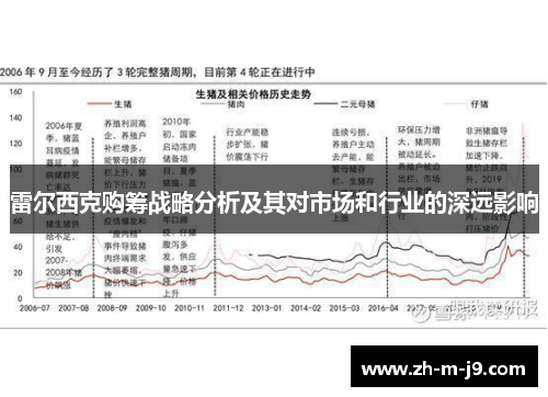 雷尔西克购筹战略分析及其对市场和行业的深远影响 雷尔西克购筹战略分析及其对市场和行业的深远影响