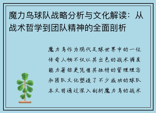 魔力鸟球队战略分析与文化解读：从战术哲学到团队精神的全面剖析