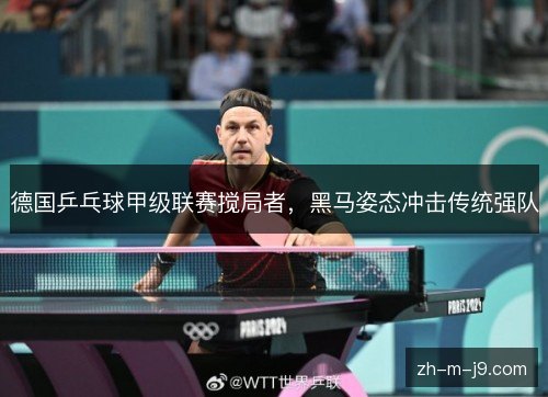 德国乒乓球甲级联赛搅局者，黑马姿态冲击传统强队